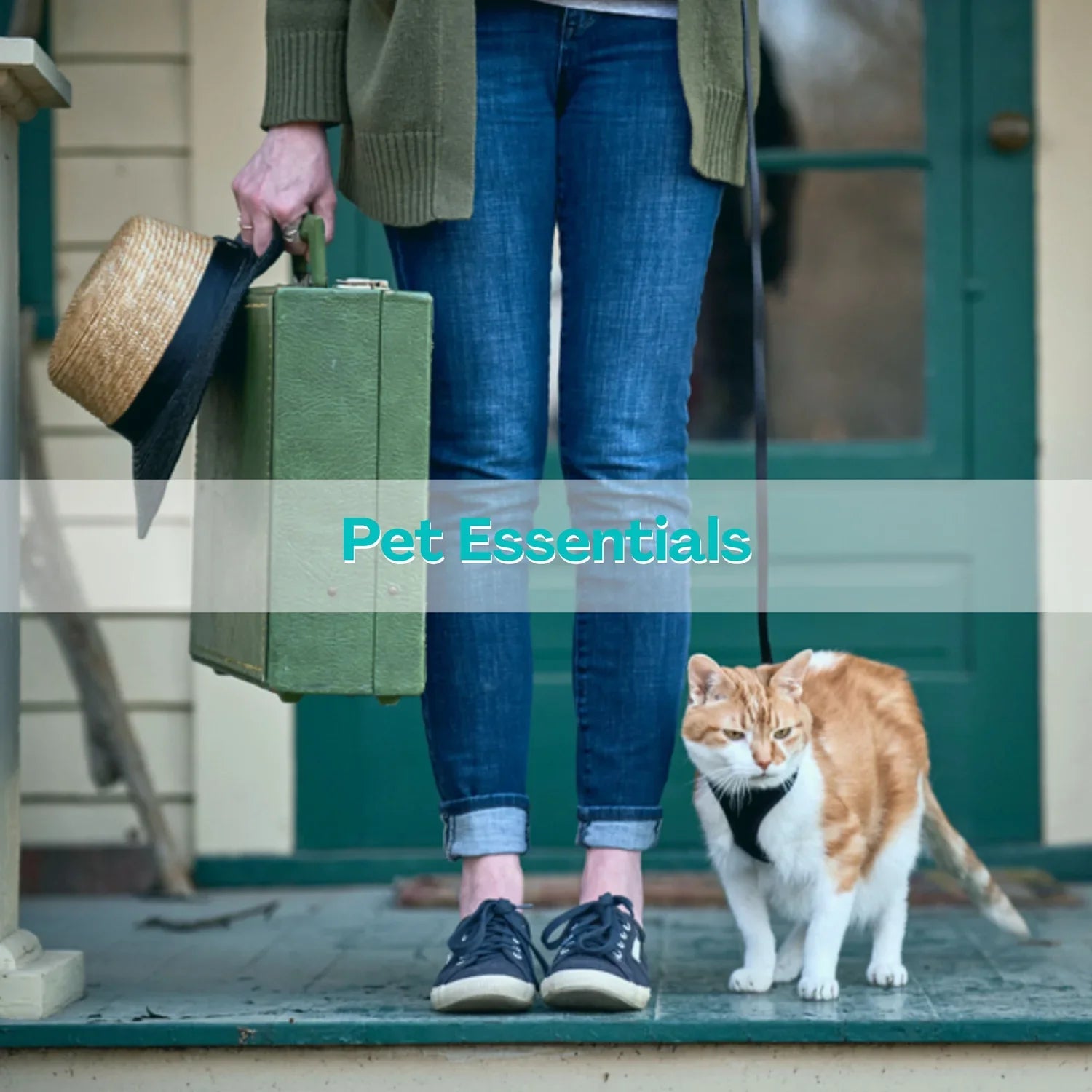 Pet Essentials