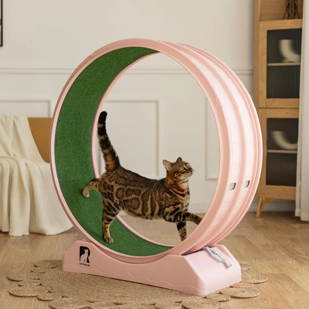 Indoor Cat Exercise Wheel