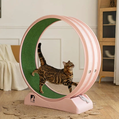 Indoor Cat Exercise Wheel
