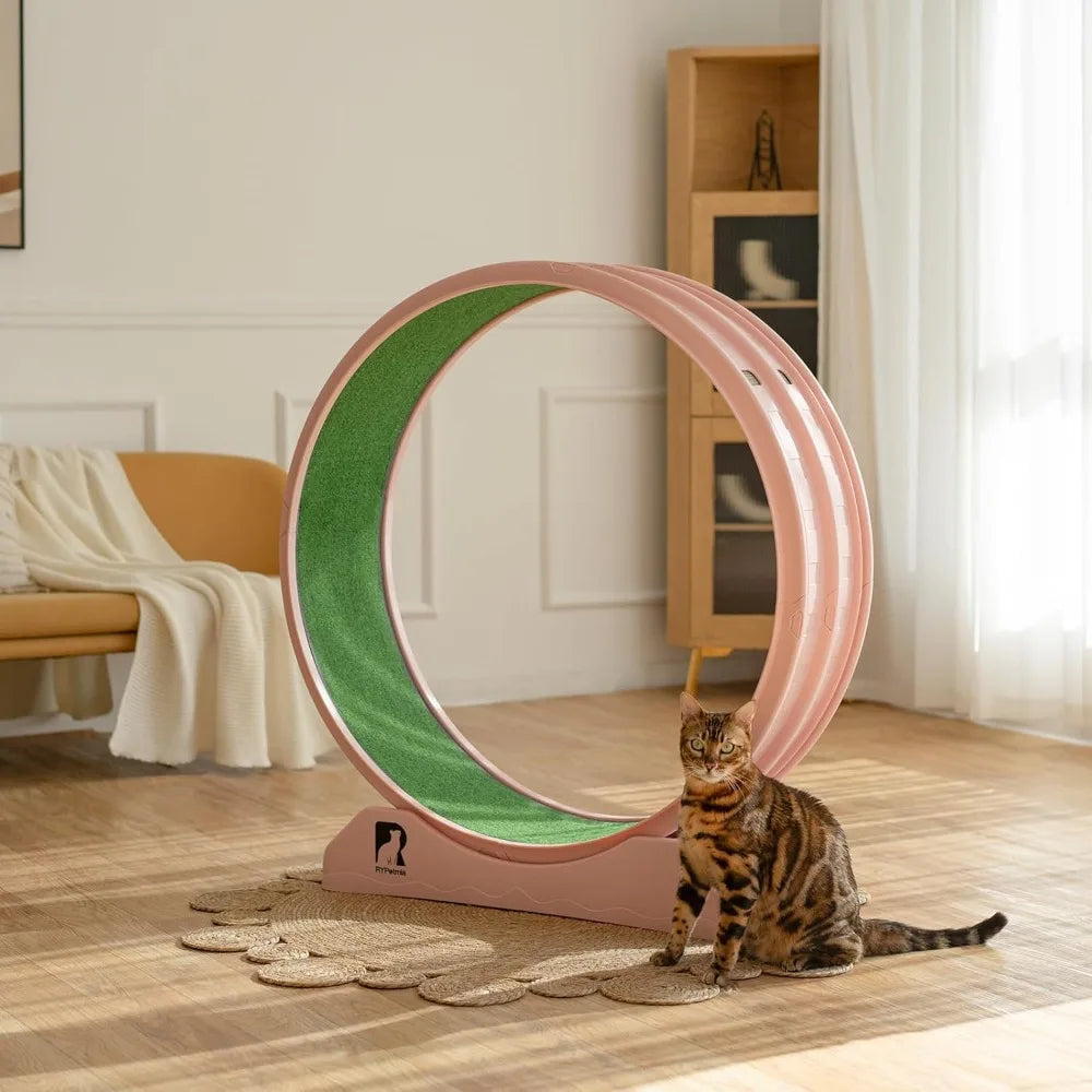 Indoor Cat Exercise Wheel