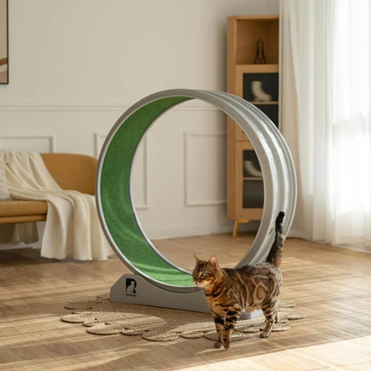 Indoor Cat Exercise Wheel
