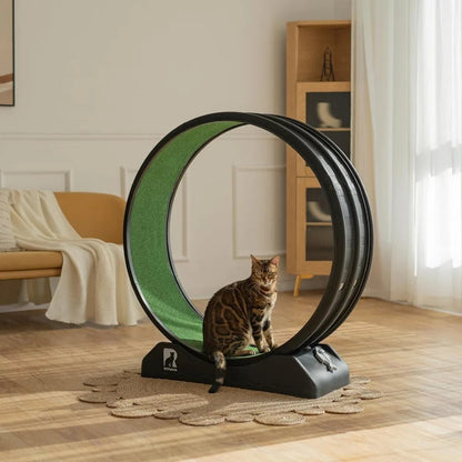 Indoor Cat Exercise Wheel