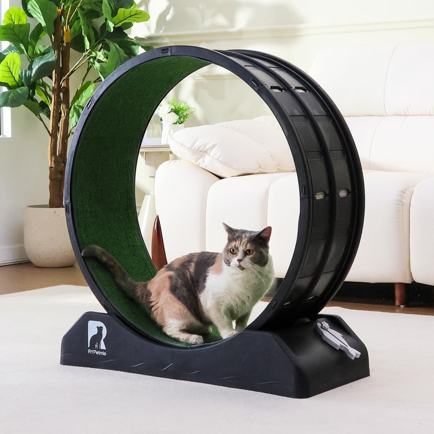 Indoor Cat Exercise Wheel